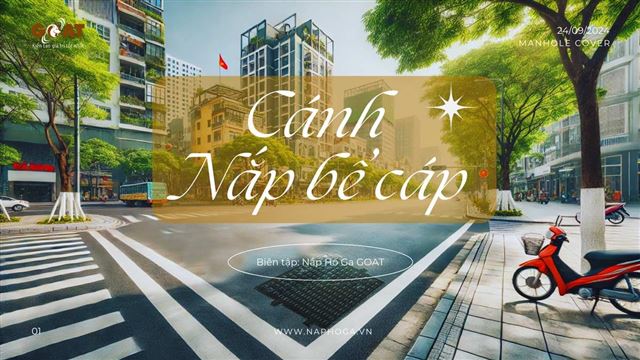 Cánh Nắp Bể Cáp: Tối Ưu An Toàn Và Bảo Trì Hiệu Quả