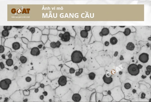 Quan sát tổ chức vi kim (graphit dạng cầu) (ảnh minh hoạ)