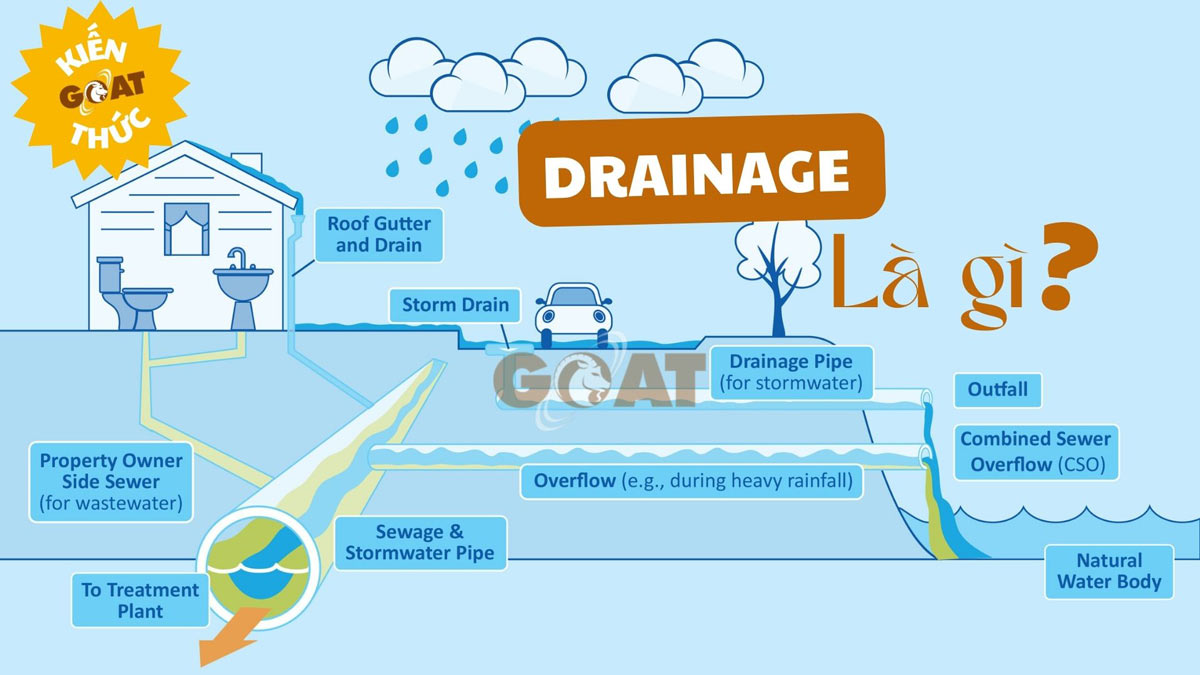 Drainage là gì? Bối cảnh sử dụng Drainage trong tiếng anh