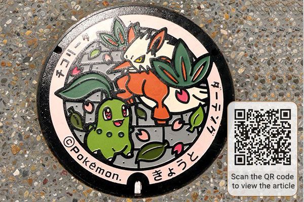 Japan’s Top 32 Designed Manhole Covers - Art Underfoot