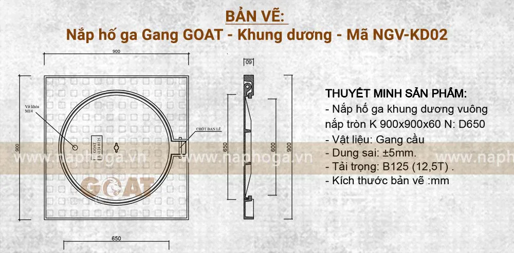 Bản vẽ Nắp hố ga gang khung dương 900x900 GOAT