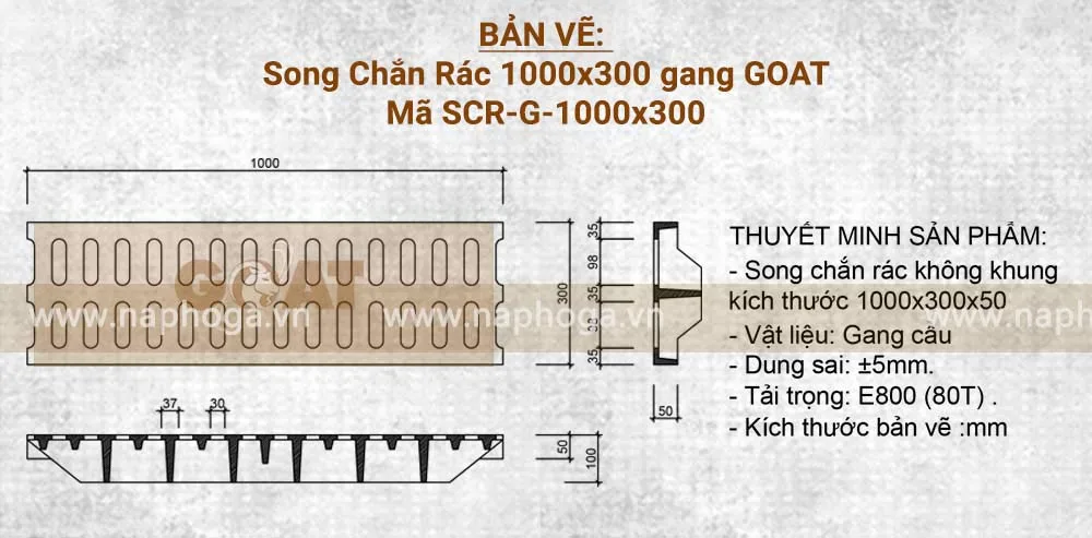 Bản vẽ Song chắn rác 1000x300 gang cầu tải trọng 80 tấn