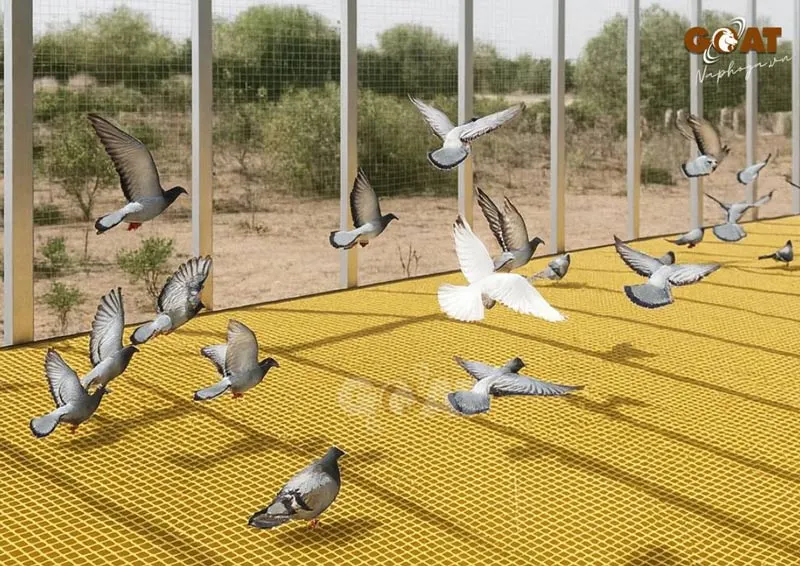 Sàn sạch, dễ vệ sinh. Chống trơn trượt - Ứng dụng nhiều trong chăn nuôi